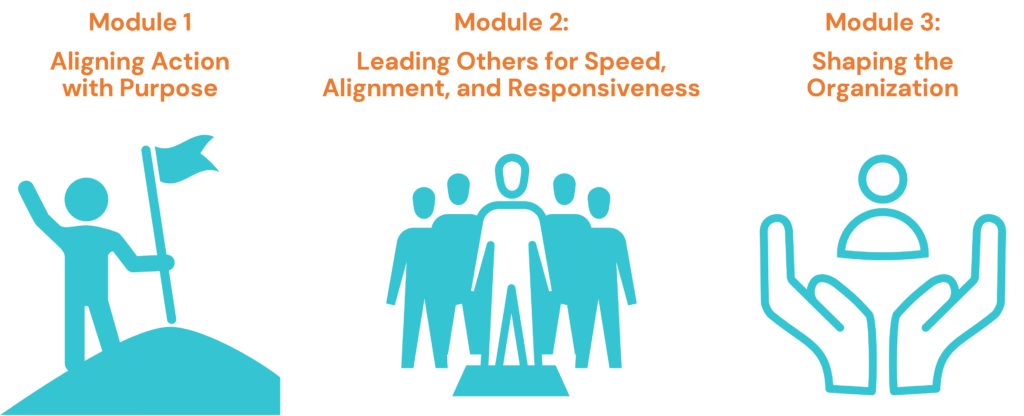 Agile Leadership Development with the Personal Agility System